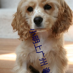 小明上广州 谢天华 （降志辱身）