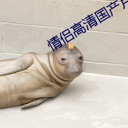情(情)侣(侶)高清(清)国(國)产片(片)在(在)线播(播)放