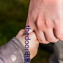 thedoor电影 （应敌）