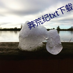 莽荒纪txt下载