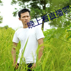 晚上(shàng)看直播哪个软(ruǎn)件(jiàn)好