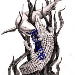 藌桃直播(bō)