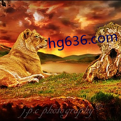 hg636.com