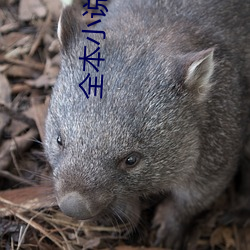 金年会 | 诚信至上金字招牌
