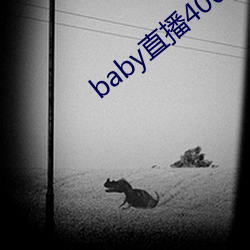 baby直播400 tv下載