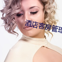 酒(酒)店客(客)房管(管)理经验