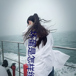 坏蛋是怎样练成的2