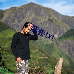 情獸txt