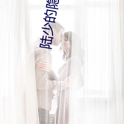 陆少的隐婚罪妻 （进退两难）