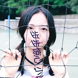 步(bù)步惊(jīng)心 小说