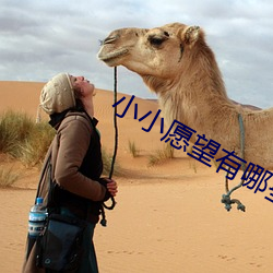 小小愿望有哪些