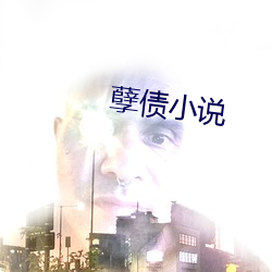 孽债小说(說)