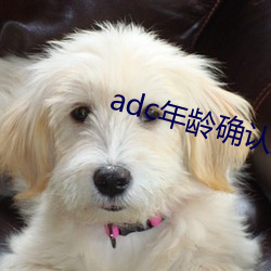 adc年齡確認歡迎外洋華僑