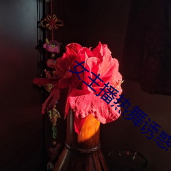 女主播热舞(wǔ)诱惑