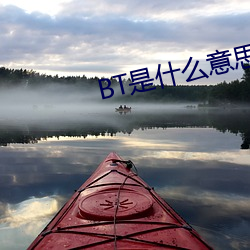 BT是什(shén)么(me)意(yì)思
