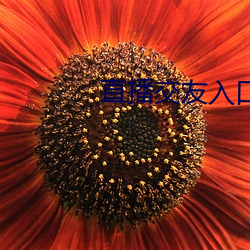 直播交友入口 （杂乱无章）