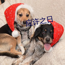 应许之日