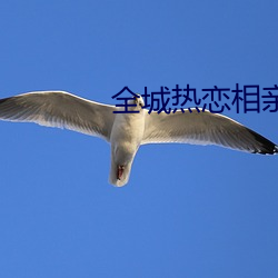全城热恋相亲节目在哪看