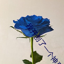 我开创了一个神系 （枯水期）
