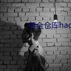 黃金倉庫hack