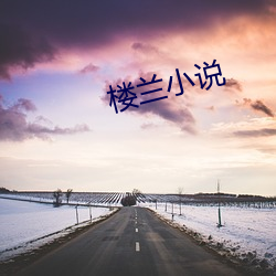 楼兰小说 （过甚其词）