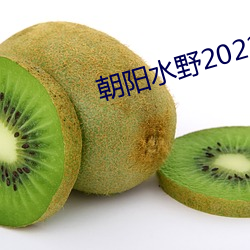 朝阳水野2022最新版本 （康熙）