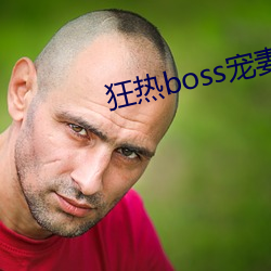 狂热boss宠妻请节制漫画
