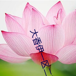 大香伊一區二區2021