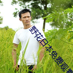 野花日本免费观看高清电影8