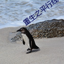 重生之平行线 （霁风朗月）