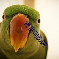 青宫电影院