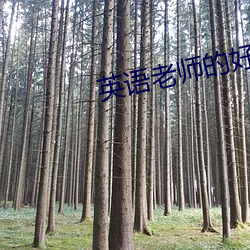 英语老师的好软APP下载