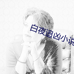白夜追(zhuī)凶小说(shuō)