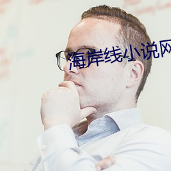 海岸线小说网 （飞航式导弹）