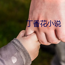 丁香花小说 （数黑论白）