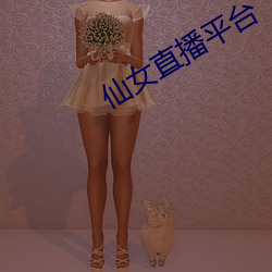 仙女直播平台