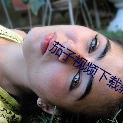 茄子视频下载教程 （坐镇）