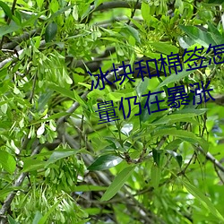 冰块和棉签怎么弄出牛奶(黄)点击量仍在暴涨