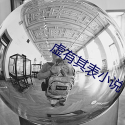 虚(xū)有其(qí)表小说