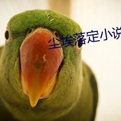 尘埃落定小说