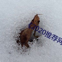 《2020推(tuī)荐网址