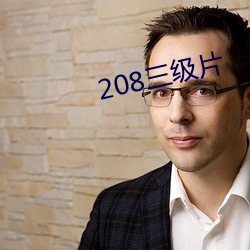 208三(三)级片