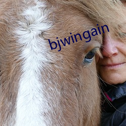 bjwingain