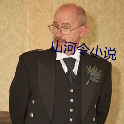 山河令小说