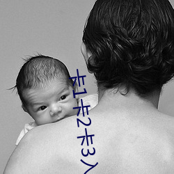 卡1卡2卡3入口 （驰高鹜远）