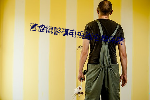 营盘镇警事电视剧全集免费 （飞灵）