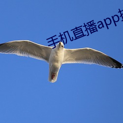 手机直播app排行榜