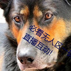 必看无人区一码二(èr)码三码免费(fèi)版:全(quán)新(xīn)的(de)直播互动!