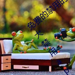 免费的禁用的app哪款火?分享最新夜里十大禁用app排行榜 （竿子）