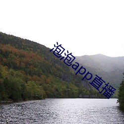泡泡app直播